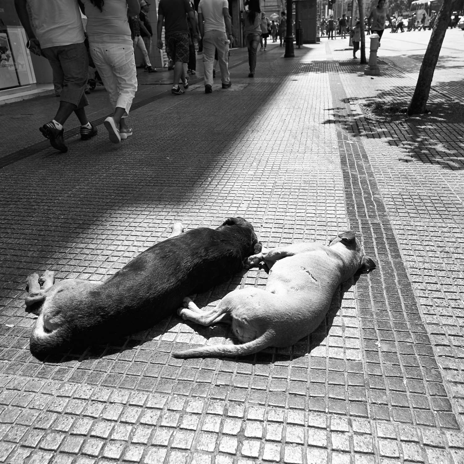 Santiago Chile