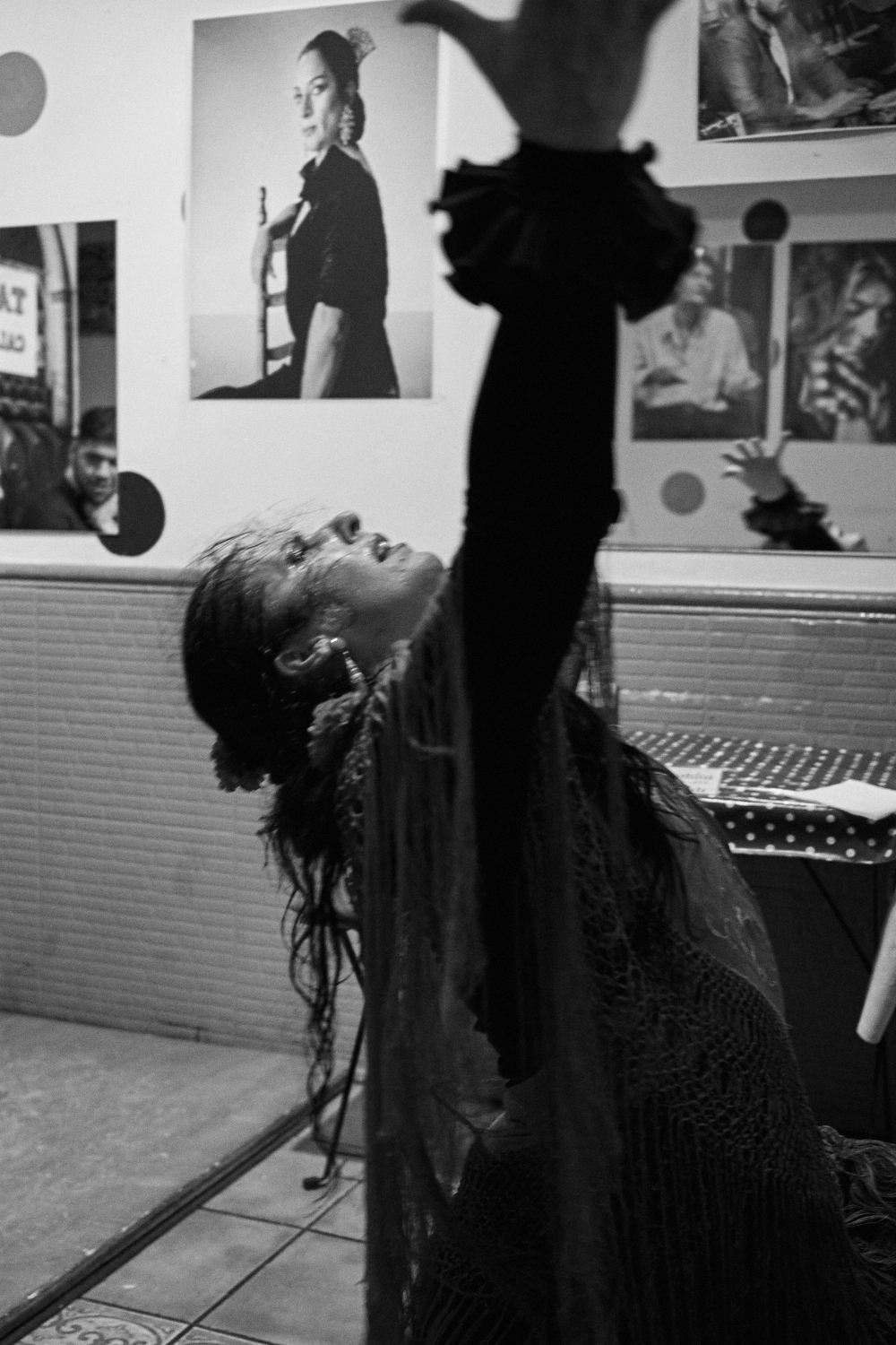 Flamenco Jerez de la Frontera