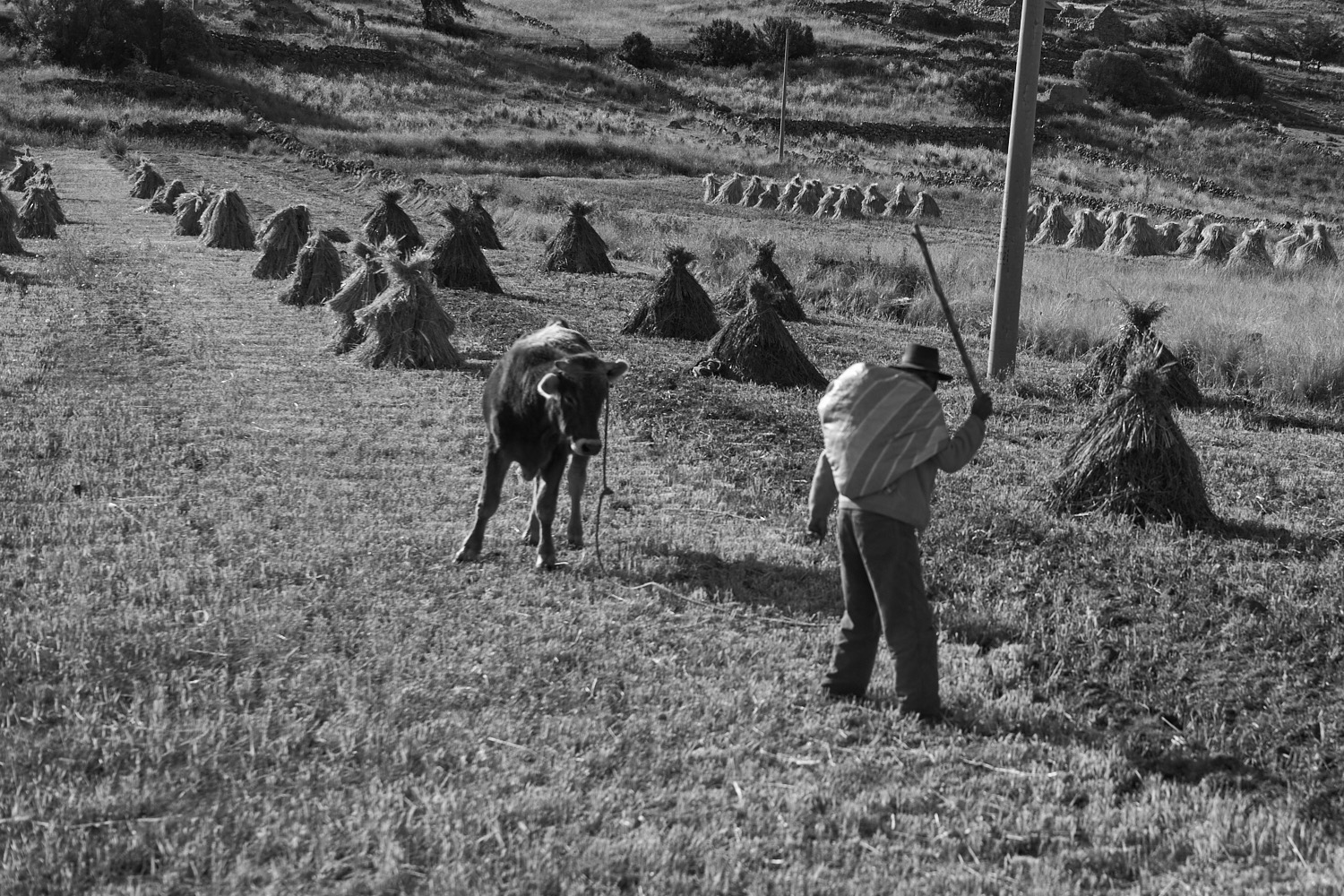 Perú