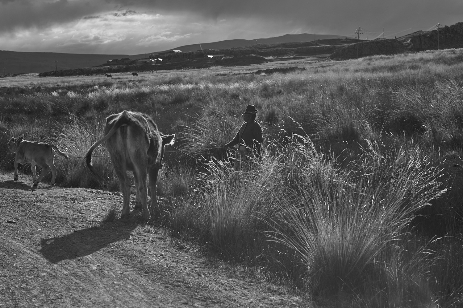 Titicaca