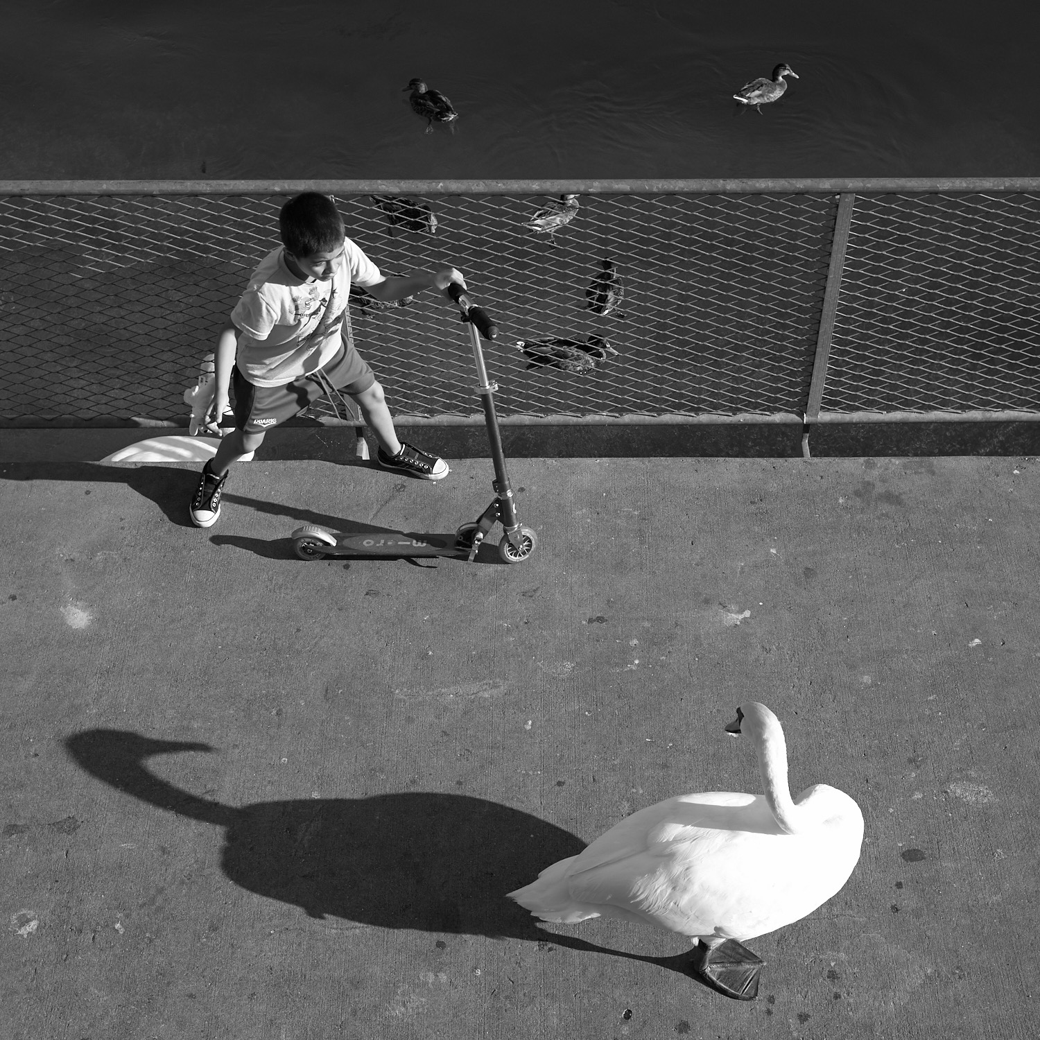 Genève