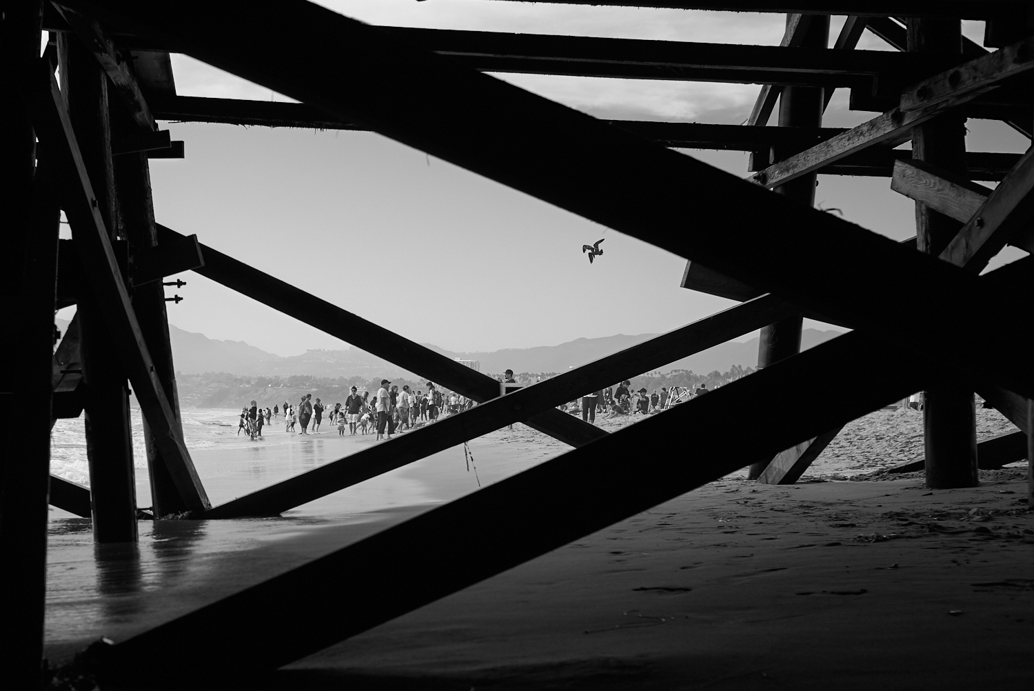Venice beach