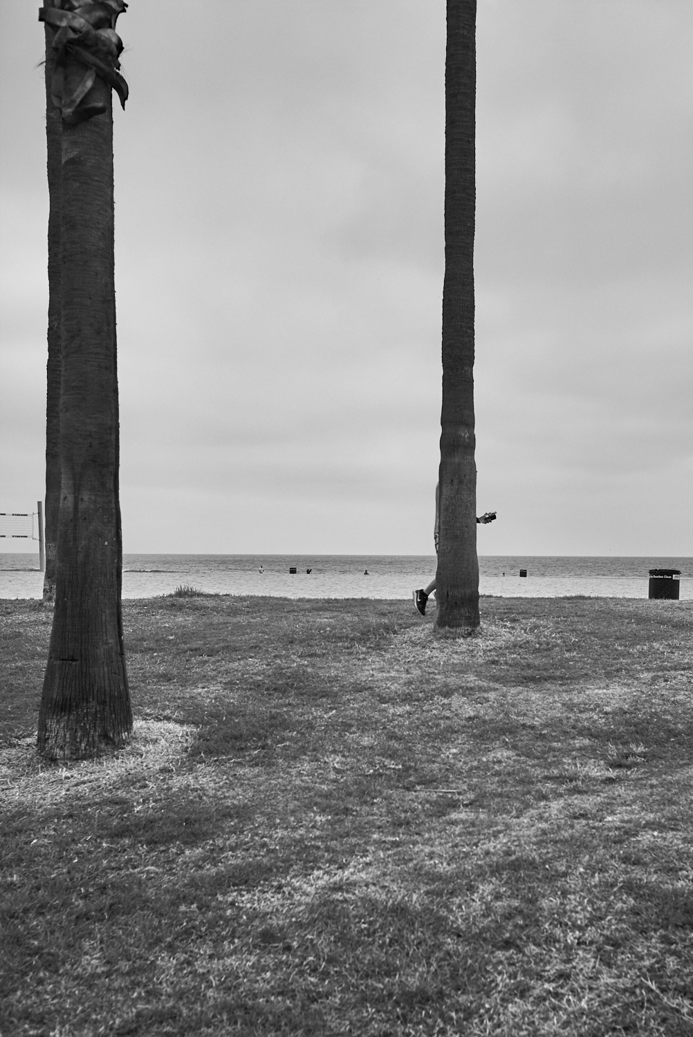 Venice beach