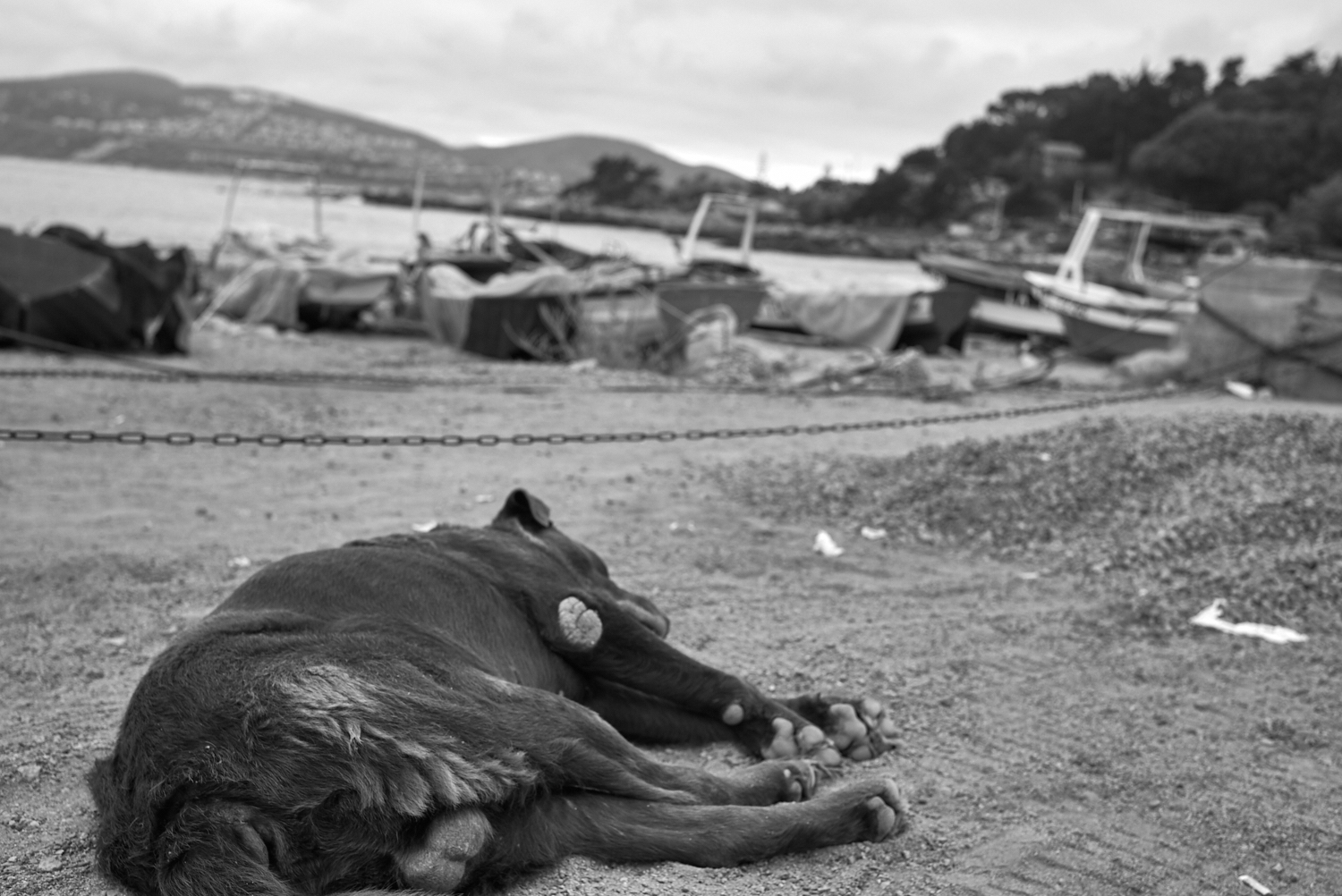 Maintencillo - Chile