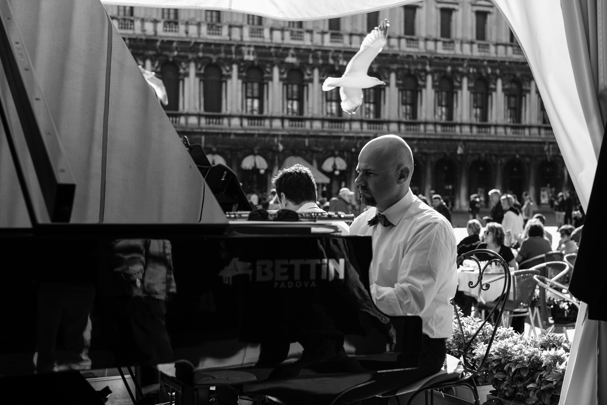 Piazza San MArco